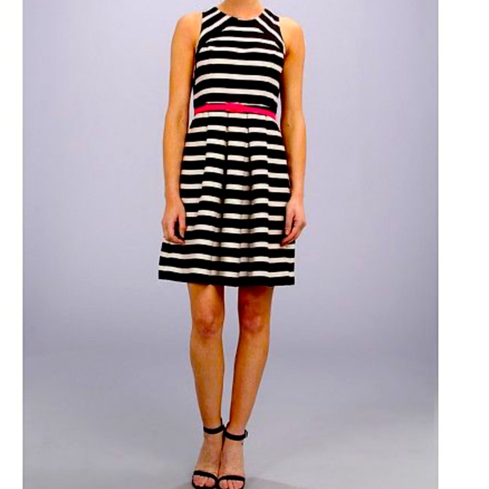 VGUC White House Black Market Striped belted dress size 6